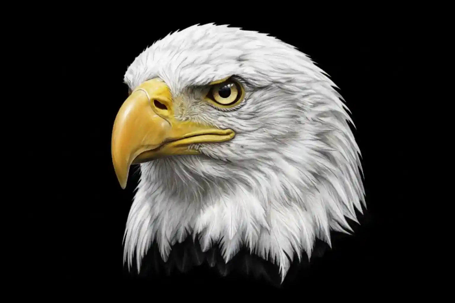 Embroidery digitizing project 3